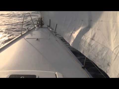 VIDEO 4 delfini in prua al traverso di Tropea