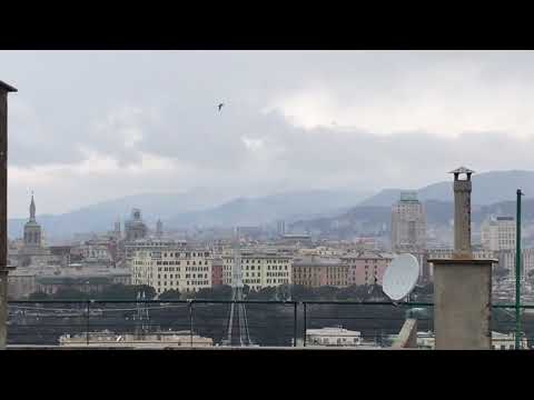 VIDEO Nevica a Genova Albaro… 25 febbraio 2018