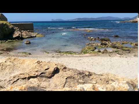 VIDEO – A bath in Alghero … with the foreigner ooooo (that would be me)