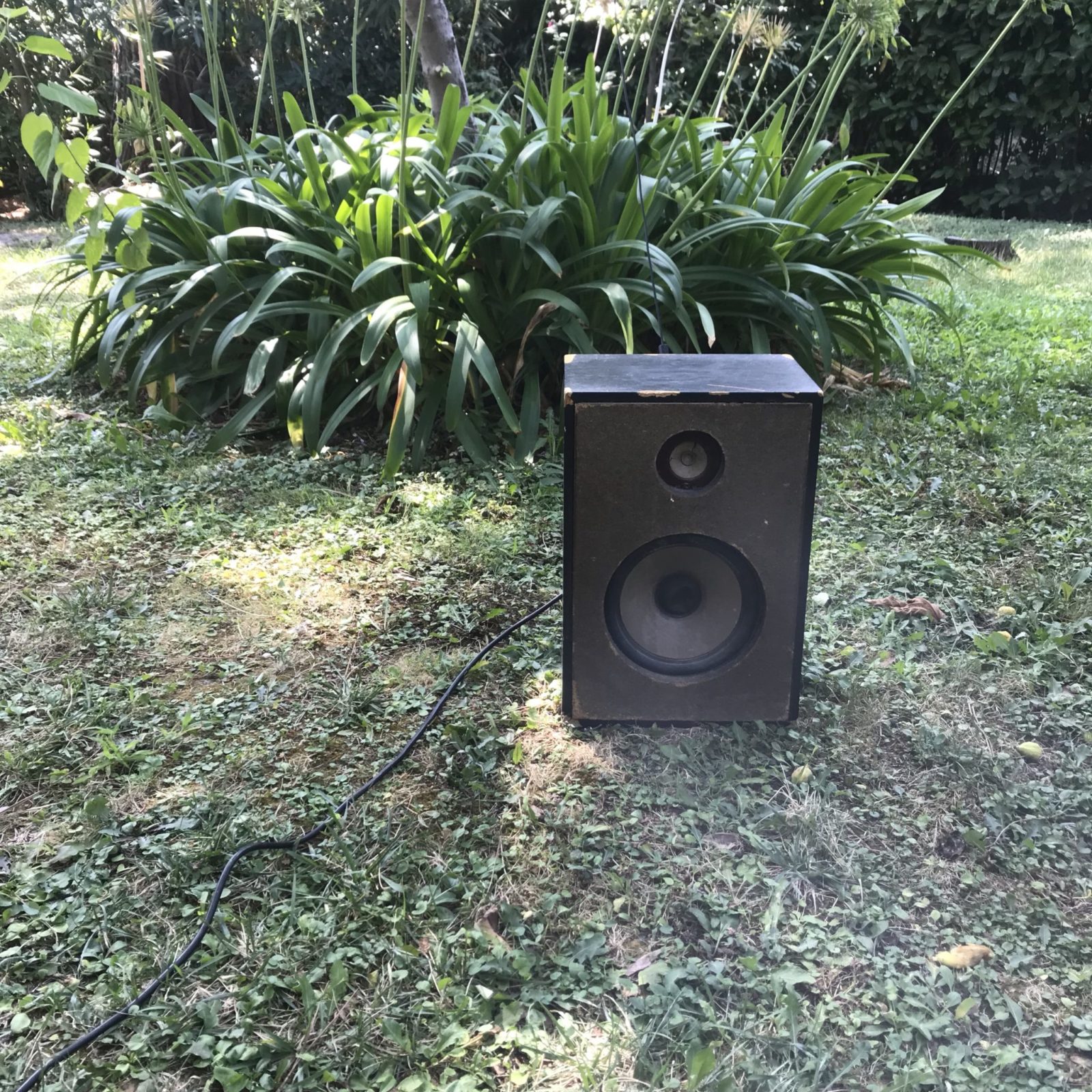 cassa acustica poggiata in giardino