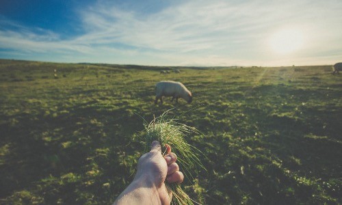 La rovina del mondo sarà l’indifferenza…