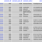 Screenshot database MySql campi comment_id wordpress