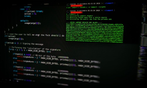 schermo di un computer con script