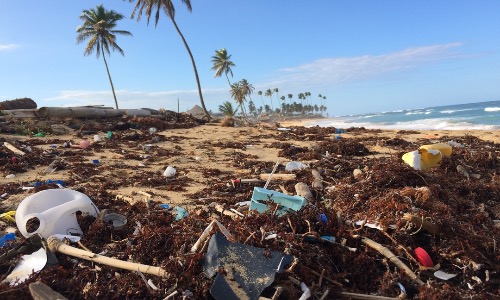 spiaggia hawaiana piena di spazzatura