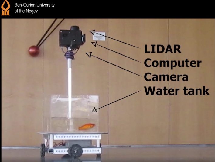 Sistema di guida per pesce rosso realizzato dall'Università Ben-Gurion University di Negev