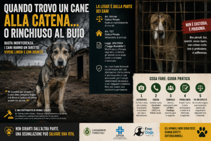 Quando trovi un cane alle catena o rinchuso al buio